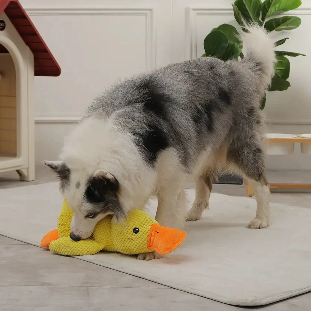 PawQuacker™ - Image 2