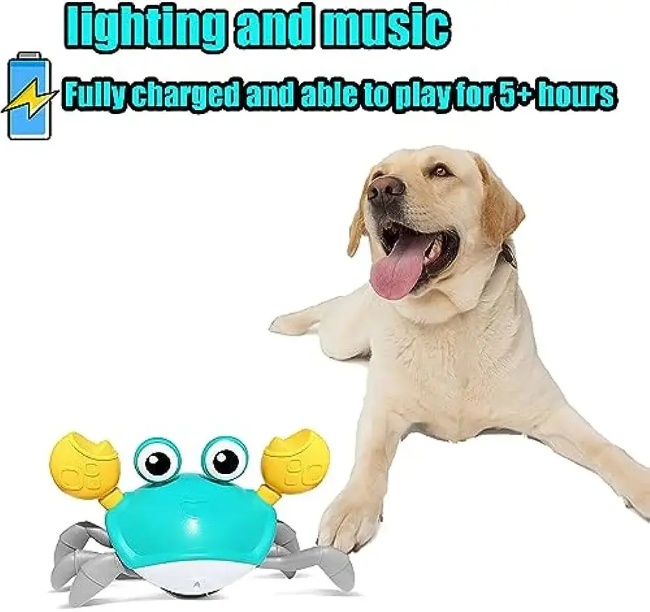 WanderClaw™- Engaging Play Companion for Dogs - Image 4