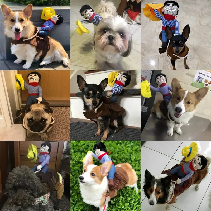 Dog Cowboy Costume - Image 4