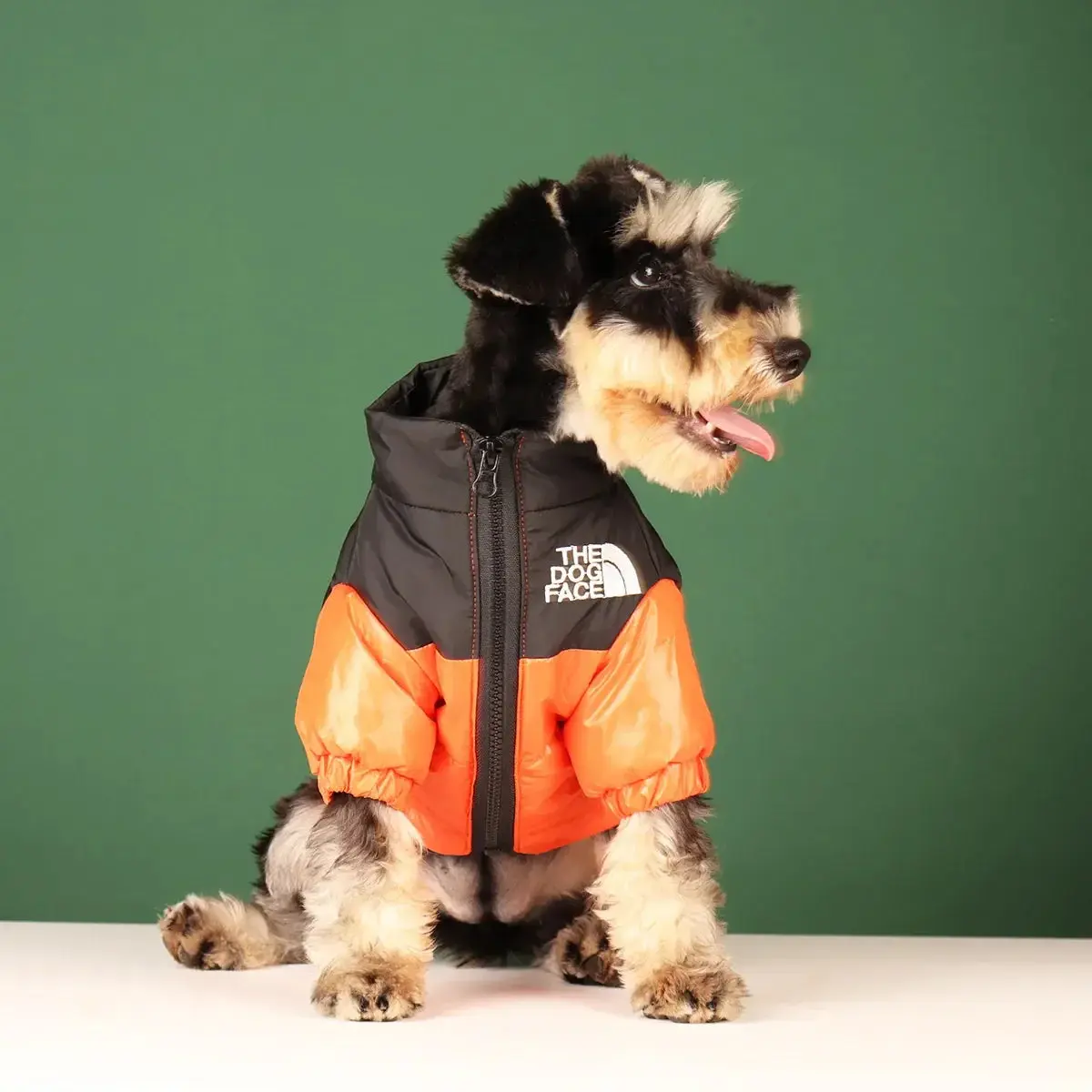 Dog Face Puffer Jacket - Image 3