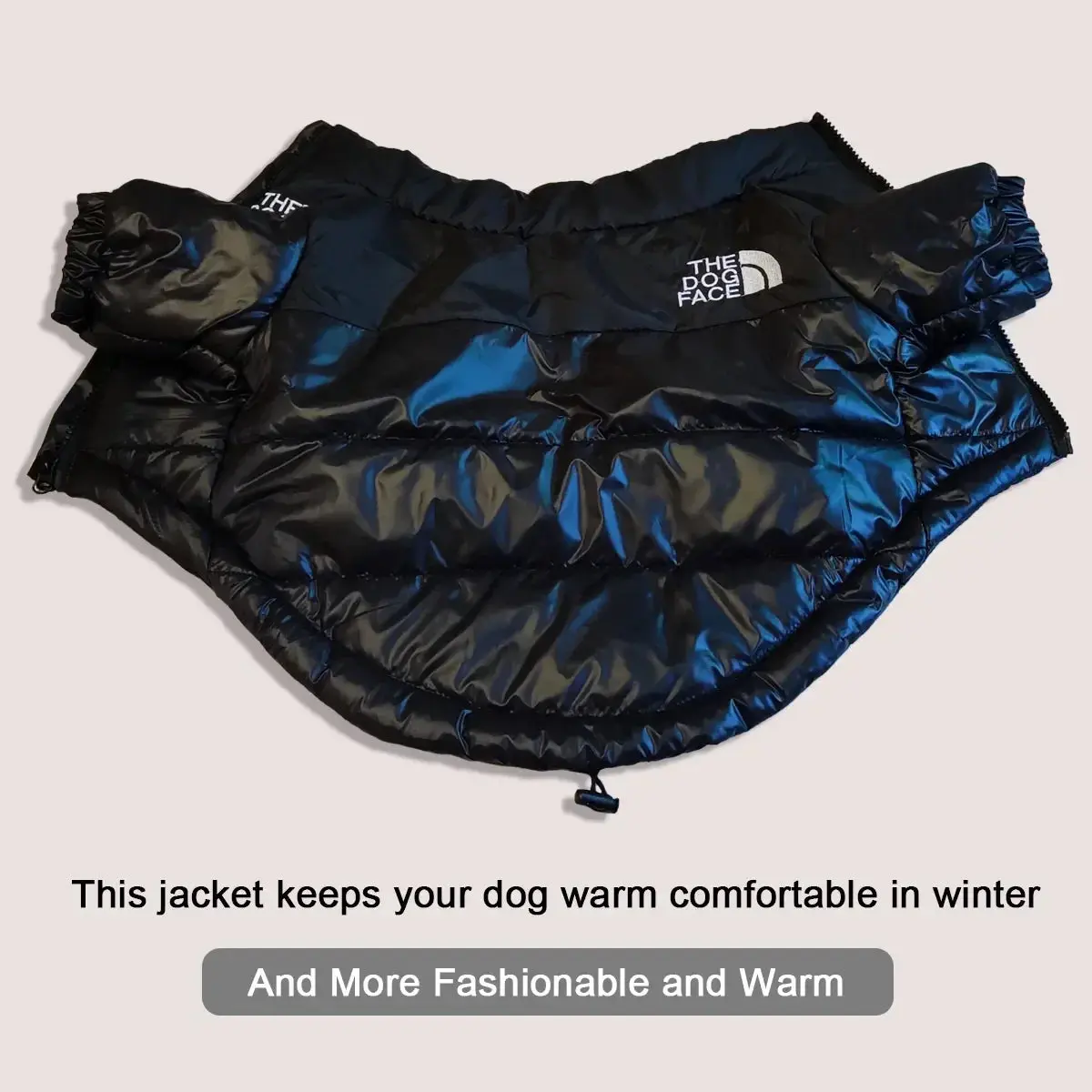 Dog Face Puffer Jacket - Image 5