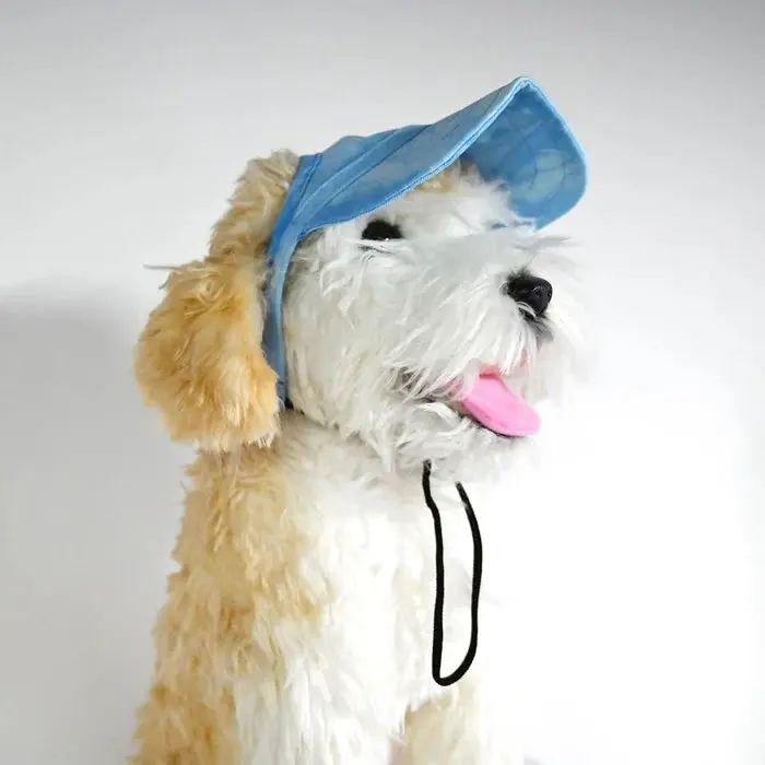 SolarPaws™  Hood - Image 4
