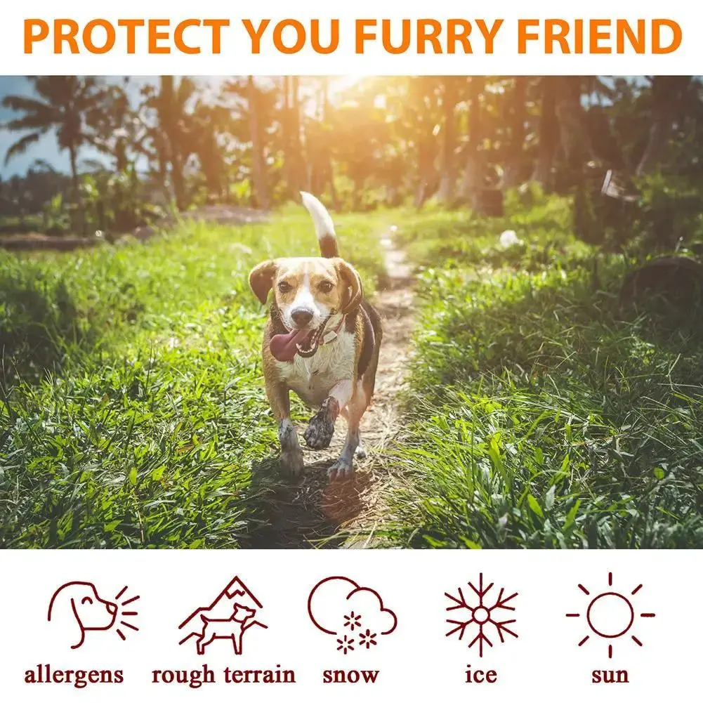 NaturaPaw™ - Image 4