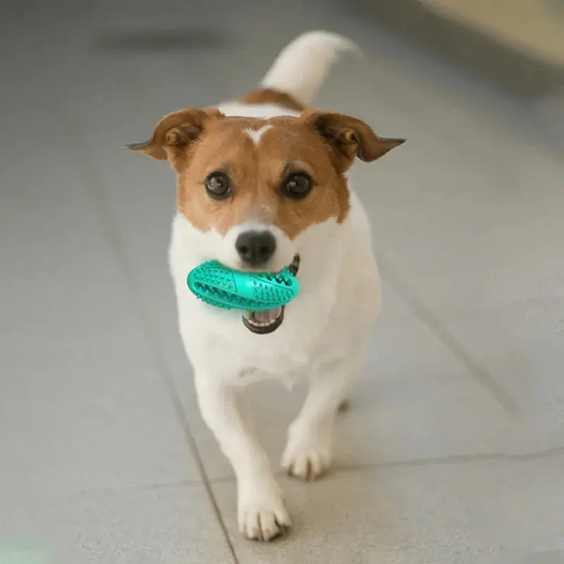 Natural Rubber Chew Toy EZCHEW  – Tooth-Cleaning Dog Toy - Image 6