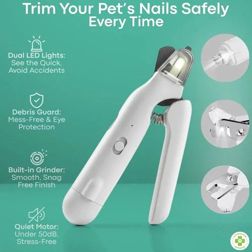 Dog Grooming