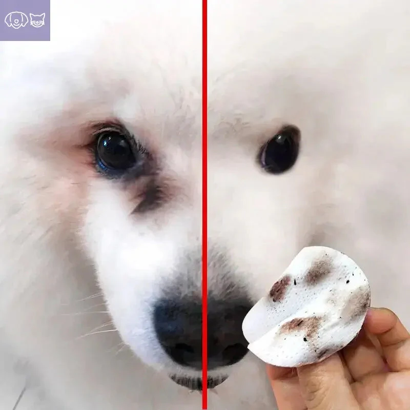 FreshGaze™  Eye Cleaning - Image 4
