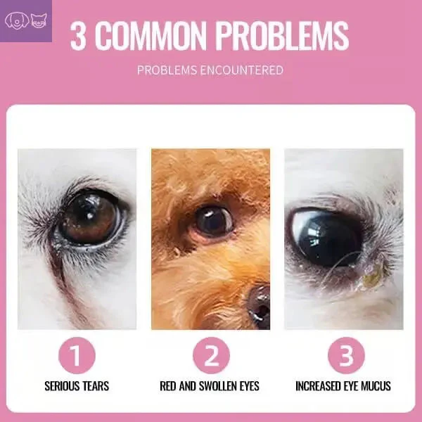 FreshGaze™  Eye Cleaning - Image 5