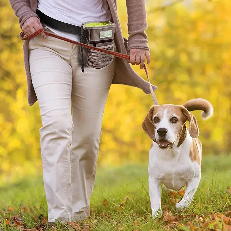 Portable Dog Training Waist Bag – Outdoor Treat Snack Pouch for Rewards & Feeding - Image 4