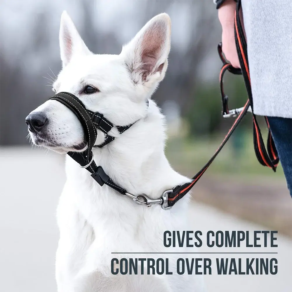 Head Halter Muzzle | QuickEase Anti-Bite & No-Pull Control for Dogs - Image 2
