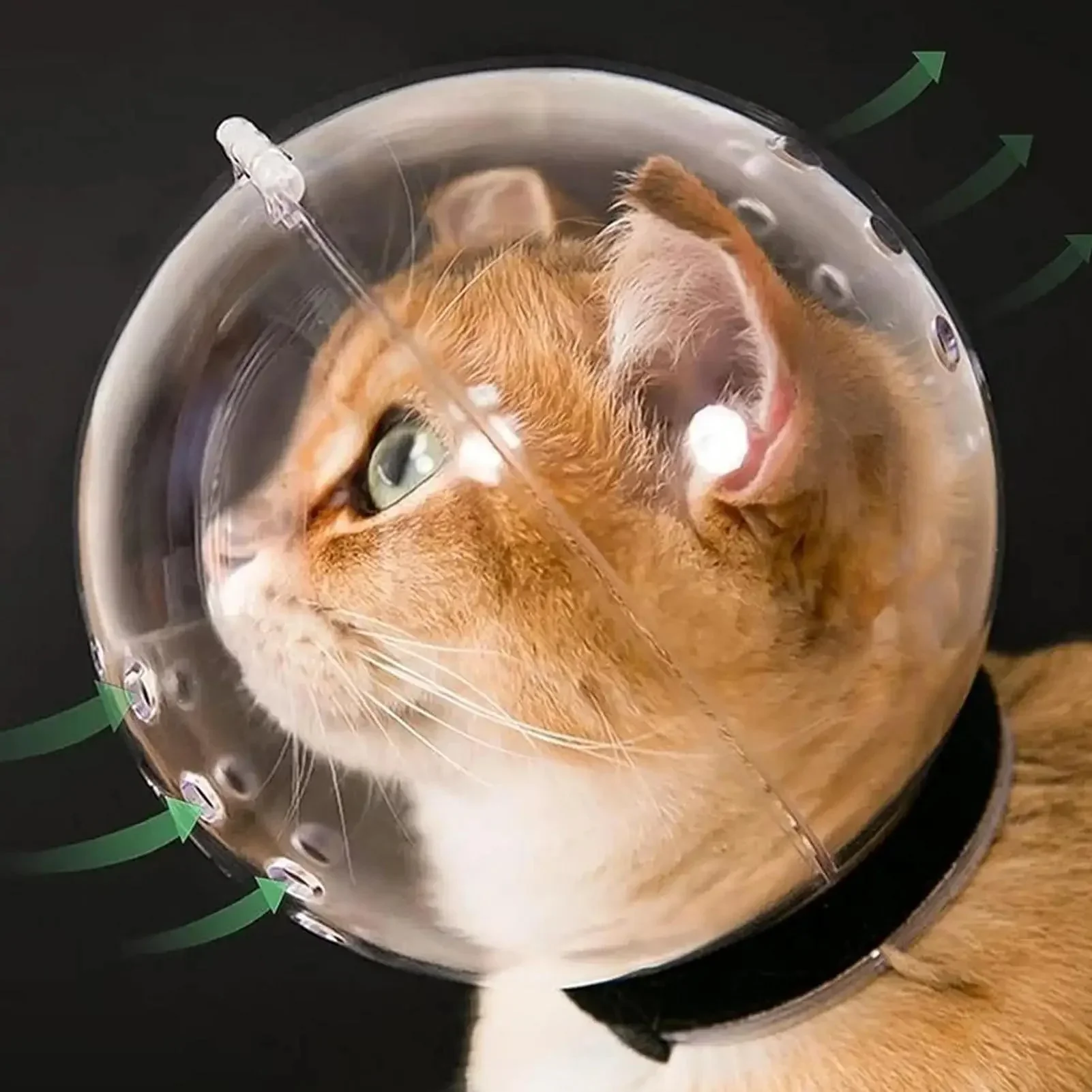MeowBubble™ Safety Mask - Image 5