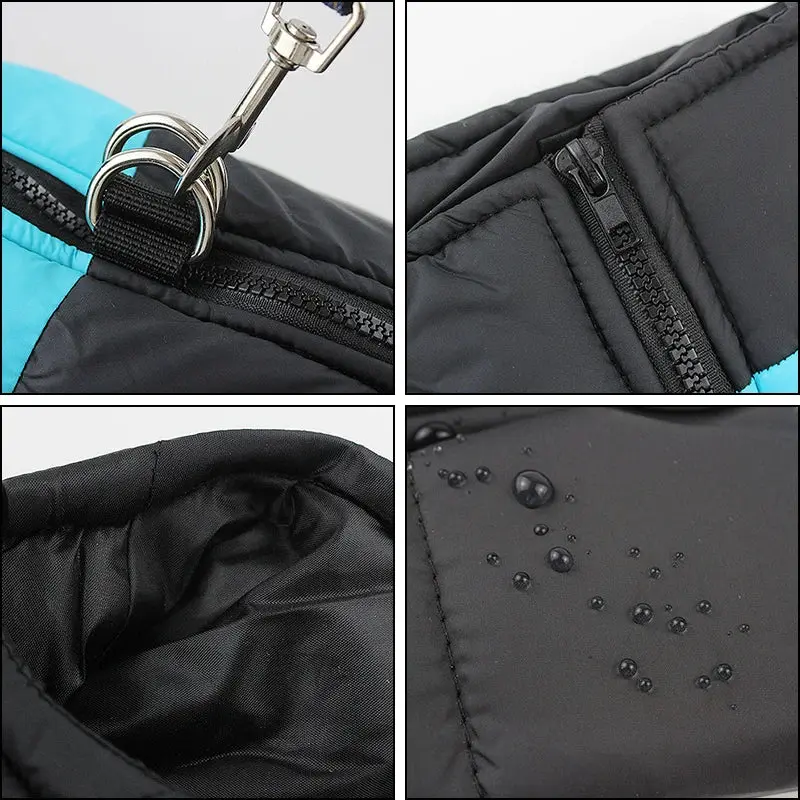 Winter Dog Vest with Zipper – Waterproof & Available in Sizes S-7XL - Image 3