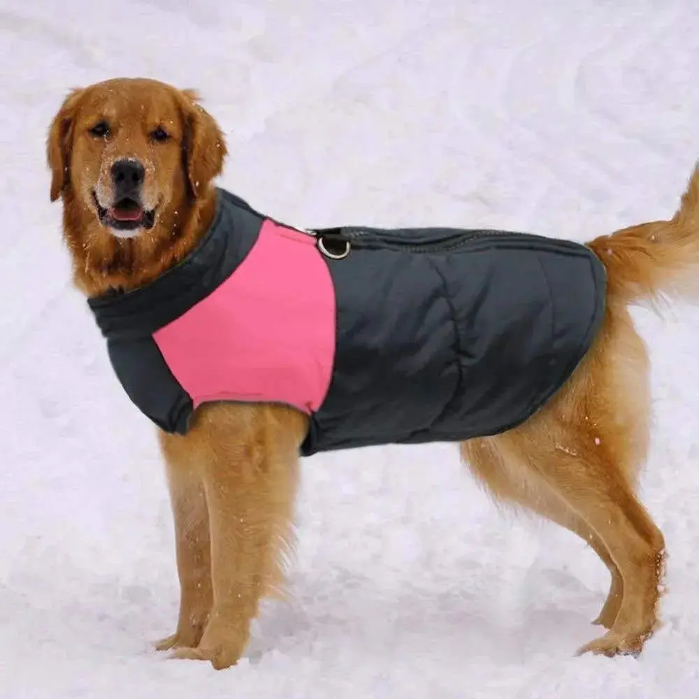 Winter Dog Vest with Zipper – Waterproof & Available in Sizes S-7XL - Image 5
